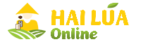 HaiLua Online