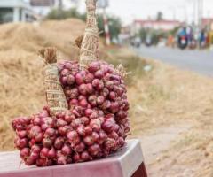 Hành tím tươi - Trần Thị Anh Thư