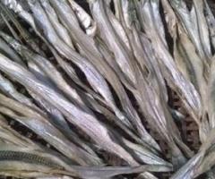 CẦN MUA - Khô cá lìm kìm dried fish