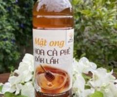 Mật ong hoa cafe Daklak - Cá nhân kinh doanh -